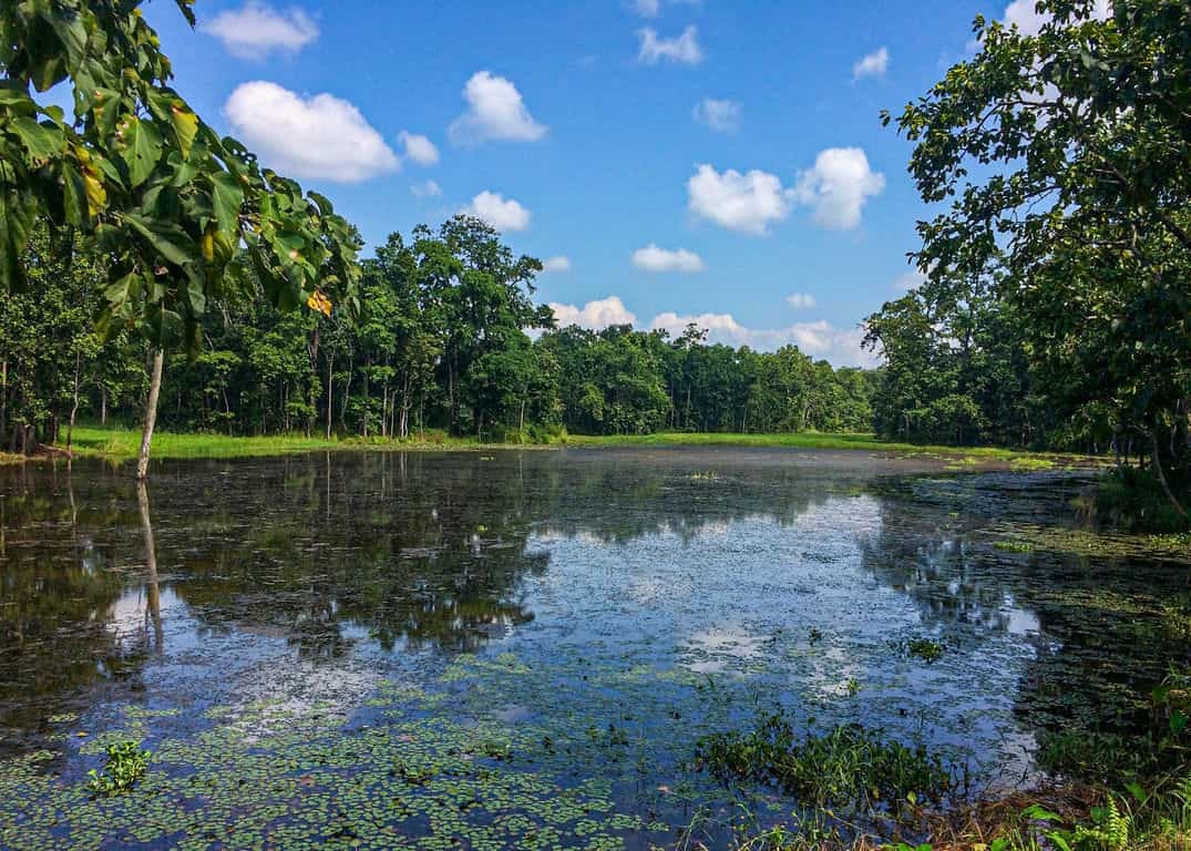 बिस हजारी ताल