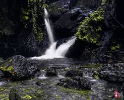 सक्तिखोर